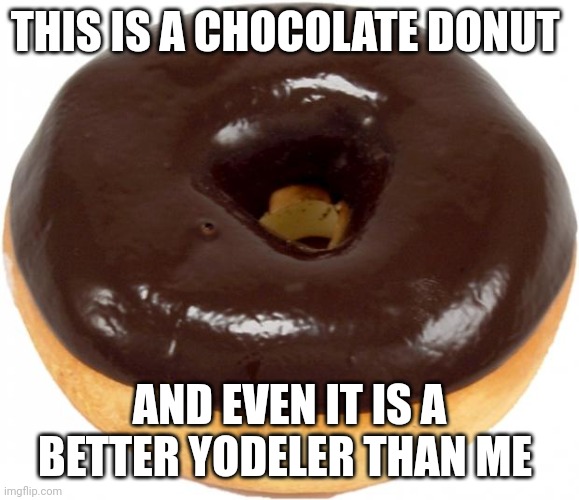 Donut be a better yodeler | THIS IS A CHOCOLATE DONUT; AND EVEN IT IS A BETTER YODELER THAN ME | image tagged in chocolate doughnut | made w/ Imgflip meme maker