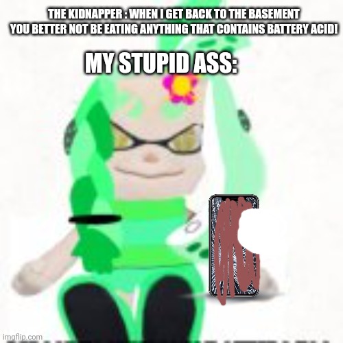 Low quality image of a mint houzuki plush | THE KIDNAPPER : WHEN I GET BACK TO THE BASEMENT YOU BETTER NOT BE EATING ANYTHING THAT CONTAINS BATTERY ACID! MY STUPID ASS: | image tagged in low quality image of a mint houzuki plush | made w/ Imgflip meme maker