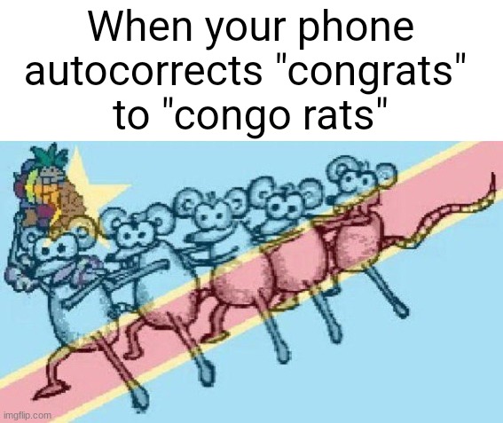 Yes | When your phone
autocorrects "congrats" 
to "congo rats" | image tagged in memes | made w/ Imgflip meme maker