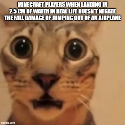 minecraft players | MINECRAFT PLAYERS WHEN LANDING IN 2.5 CM OF WATER IN REAL LIFE DOESN'T NEGATE THE FALL DAMAGE OF JUMPING OUT OF AN AIRPLANE | image tagged in my reaction to that information | made w/ Imgflip meme maker
