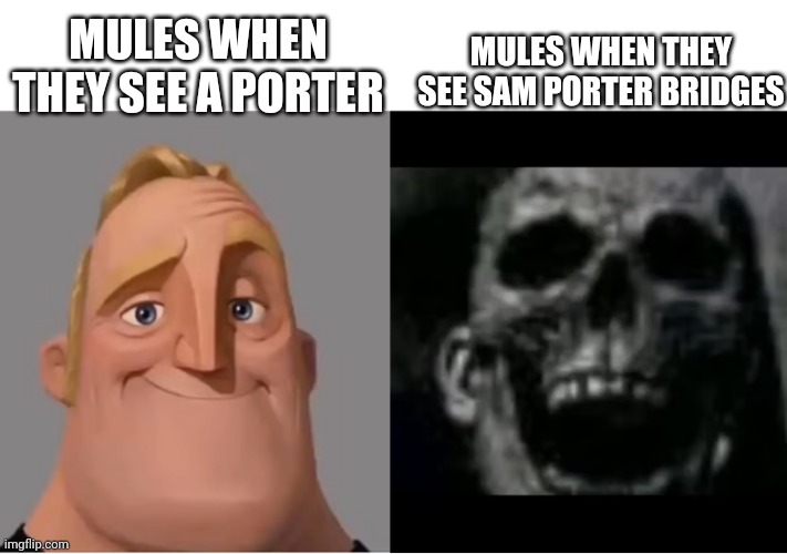 My brain when I play Death Stranding: | MULES WHEN THEY SEE SAM PORTER BRIDGES; MULES WHEN THEY SEE A PORTER | image tagged in mr incredible becoming uncanny small size version | made w/ Imgflip meme maker