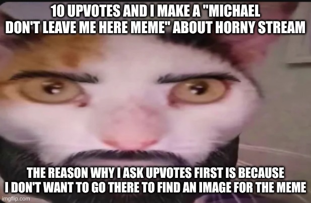 Gigacat | 10 UPVOTES AND I MAKE A "MICHAEL DON'T LEAVE ME HERE MEME" ABOUT HORNY STREAM; THE REASON WHY I ASK UPVOTES FIRST IS BECAUSE I DON'T WANT TO GO THERE TO FIND AN IMAGE FOR THE MEME | image tagged in gigacat | made w/ Imgflip meme maker