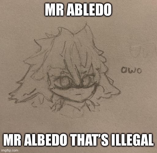 When you try to draw people after only drawing furries | MR ABLEDO; MR ALBEDO THAT’S ILLEGAL | image tagged in genshin impact | made w/ Imgflip meme maker