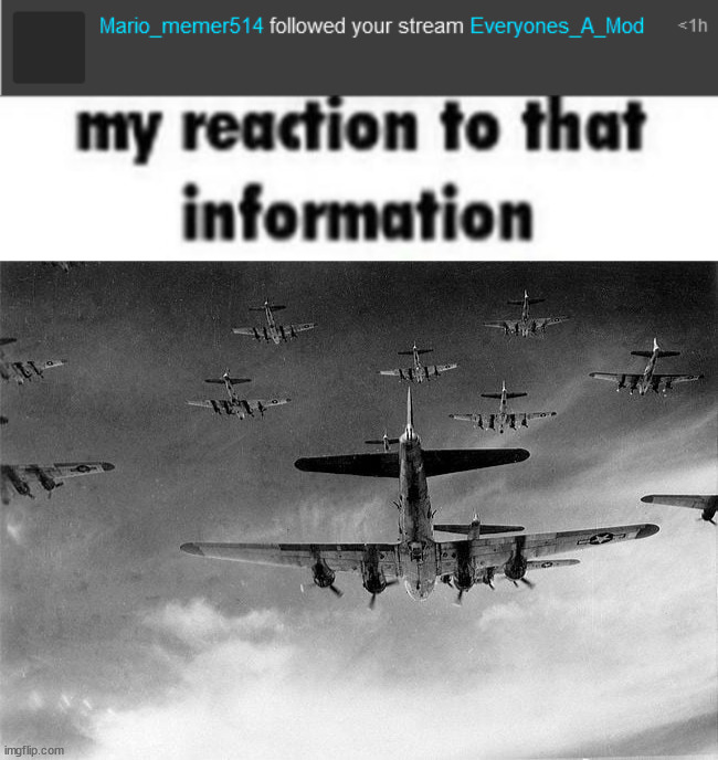 time to memechat him and send yiff links. | image tagged in my reaction to that information,b-17 to germany | made w/ Imgflip meme maker