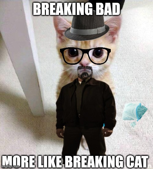 Breaking cat | BREAKING BAD; MORE LIKE BREAKING CAT | image tagged in memes,cute cat | made w/ Imgflip meme maker