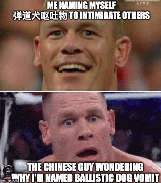 Putting in a Chinese name but you don't know chinese | ME NAMING MYSELF 弹道犬呕吐物 TO INTIMIDATE OTHERS; THE CHINESE GUY WONDERING WHY I'M NAMED BALLISTIC DOG VOMIT | image tagged in john cena happy/sad | made w/ Imgflip meme maker