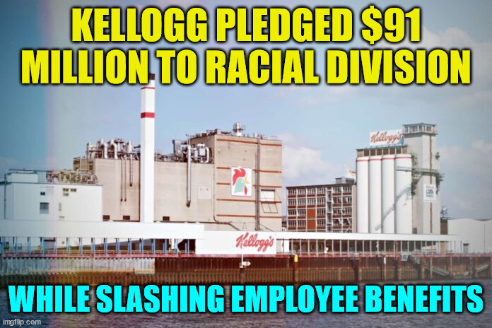 Well somebody has to pay... | KELLOGG PLEDGED $91 MILLION TO RACIAL DIVISION; WHILE SLASHING EMPLOYEE BENEFITS | image tagged in woke,broke,american,corporations | made w/ Imgflip meme maker