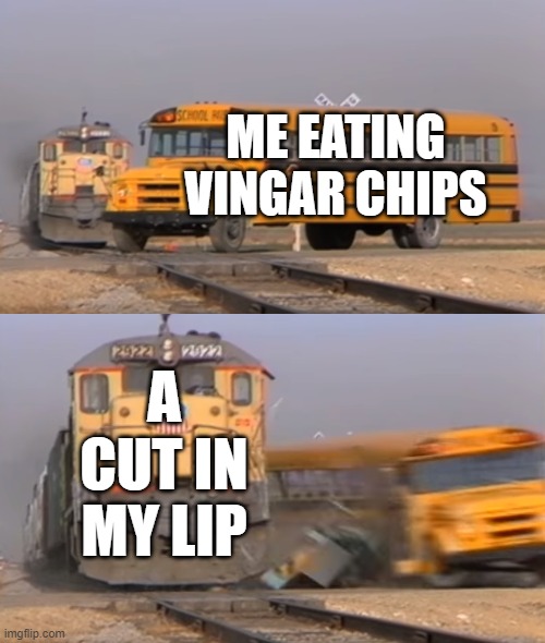 A train hitting a school bus | ME EATING VINGAR CHIPS; A CUT IN MY LIP | image tagged in a train hitting a school bus | made w/ Imgflip meme maker