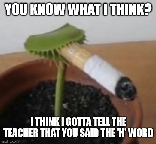 YOU KNOW WHAT I THINK? I THINK I GOTTA TELL THE TEACHER THAT YOU SAID THE 'H' WORD | made w/ Imgflip meme maker