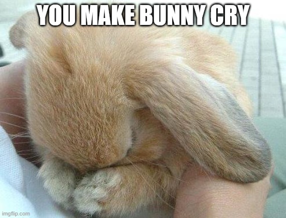 Used in comment | YOU MAKE BUNNY CRY | image tagged in you make bunny cry | made w/ Imgflip meme maker