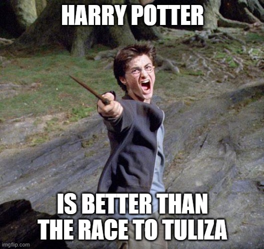 Used in comment | HARRY POTTER; IS BETTER THAN THE RACE TO TULIZA | image tagged in harry potter | made w/ Imgflip meme maker