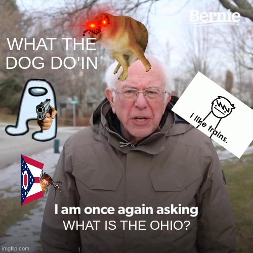 WHAT IS OHIO | WHAT THE DOG DO'IN; WHAT IS THE OHIO? | image tagged in memes,bernie i am once again asking for your support | made w/ Imgflip meme maker