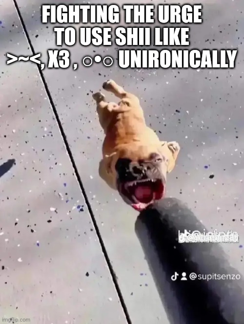 Please help me >_< | FIGHTING THE URGE TO USE SHII LIKE >~<, X3 , ○•○ UNIRONICALLY | made w/ Imgflip meme maker