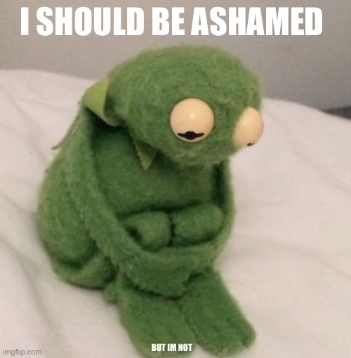 Ashamed Kermit | I SHOULD BE ASHAMED BUT IM NOT | image tagged in ashamed kermit | made w/ Imgflip meme maker