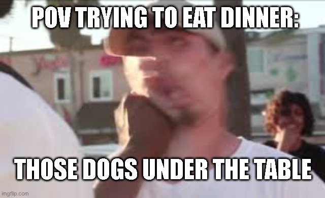 bark | POV TRYING TO EAT DINNER:; THOSE DOGS UNDER THE TABLE | image tagged in dude gets beat up,memes,meme,funny,funny memes,funny meme | made w/ Imgflip meme maker