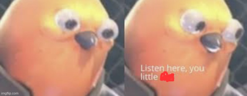 Listen here you little shit bird | image tagged in listen here you little shit bird | made w/ Imgflip meme maker