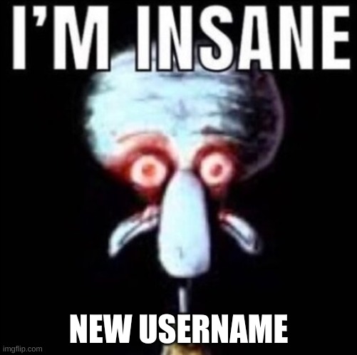 i'm insane | NEW USERNAME | image tagged in i'm insane | made w/ Imgflip meme maker