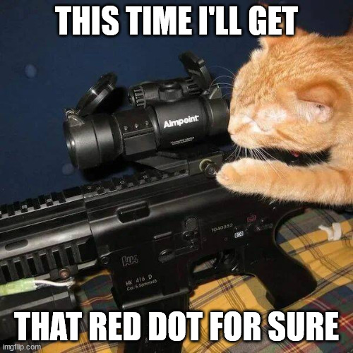And the mouse is next | THIS TIME I'LL GET; THAT RED DOT FOR SURE | image tagged in cat,gun | made w/ Imgflip meme maker