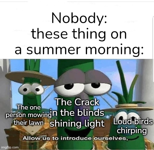 So annoying | Nobody:
these thing on a summer morning:; The one person mowing their lawn; The Crack in the blinds shining light; Loud birds chirping | image tagged in allow us to introduce ourselves,annoying,summer,mowing,light,birds | made w/ Imgflip meme maker