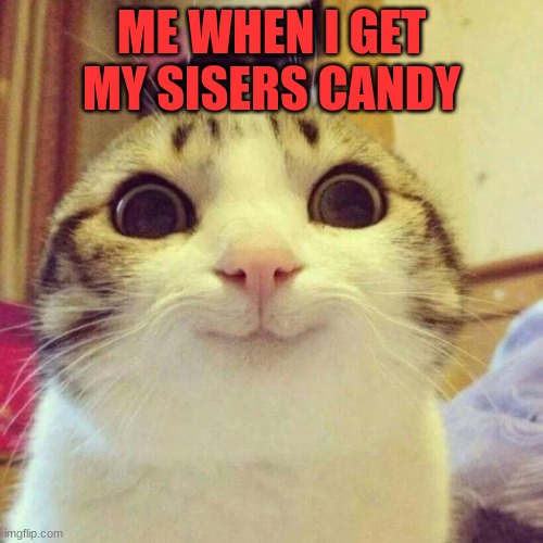 me | ME WHEN I GET MY SISERS CANDY | image tagged in memes,smiling cat | made w/ Imgflip meme maker