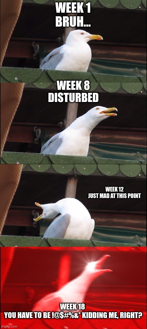 im a packers fan | WEEK 1
BRUH... WEEK 8
DISTURBED; WEEK 12
JUST MAD AT THIS POINT; WEEK 18 
YOU HAVE TO BE !@$#%&* KIDDING ME, RIGHT? | image tagged in memes,inhaling seagull | made w/ Imgflip meme maker