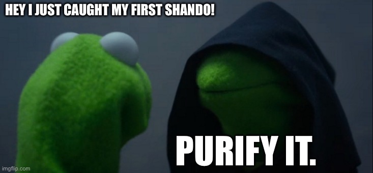 Purify It | HEY I JUST CAUGHT MY FIRST SHANDO! PURIFY IT. | image tagged in memes,evil kermit,pokemon go | made w/ Imgflip meme maker