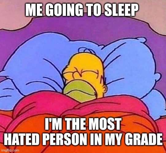 ZZZ ZZZ... | ME GOING TO SLEEP; I'M THE MOST HATED PERSON IN MY GRADE | image tagged in homer simpson sleeping peacefully | made w/ Imgflip meme maker