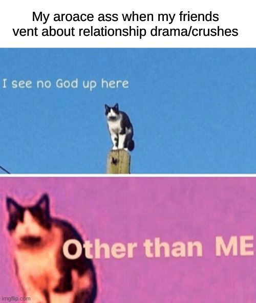 Better than most reality shows /j | My aroace ass when my friends vent about relationship drama/crushes | image tagged in blank white template,hail pole cat,aromantic,asexual,i see no god up here other than me,funny | made w/ Imgflip meme maker