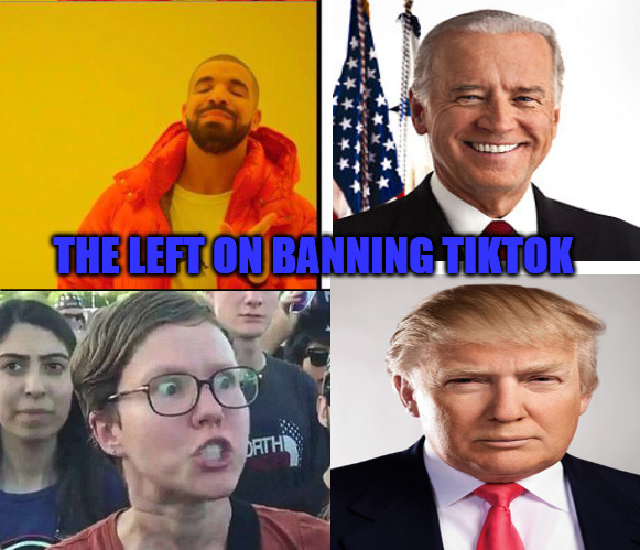 One Rule Two Presidents 2 Reactions | THE LEFT ON BANNING TIKTOK | image tagged in drake yes no reverse | made w/ Imgflip meme maker