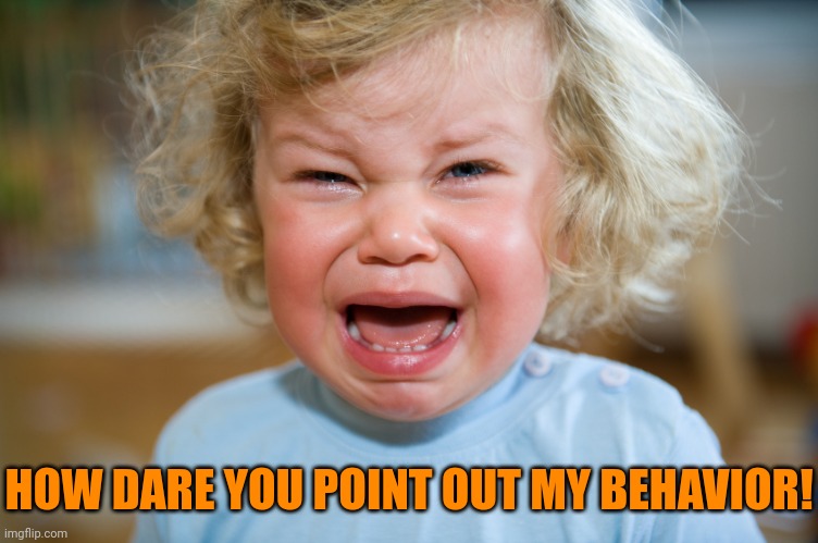 temper-tantrum | HOW DARE YOU POINT OUT MY BEHAVIOR! | image tagged in temper-tantrum | made w/ Imgflip meme maker