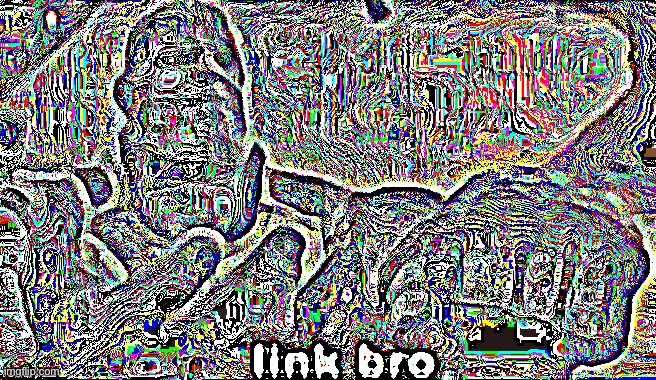 link bro | image tagged in link bro | made w/ Imgflip meme maker