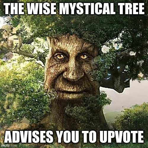 Wise Mystical Tree | THE WISE MYSTICAL TREE; ADVISES YOU TO UPVOTE | image tagged in memes,tree | made w/ Imgflip meme maker