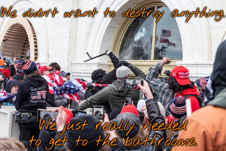 Tourism. | We didn't want to destroy anything. We just really needed to get to the bathrooms. | image tagged in capitol riot,now that's a lot of damage,accidents,misunderstood | made w/ Imgflip meme maker