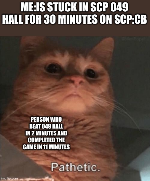 I t t o o k a w h I l e a n d I h a v e n t b e a t I t y e t | ME:IS STUCK IN SCP 049 HALL FOR 30 MINUTES ON SCP:CB; PERSON WHO BEAT 049 HALL IN 2 MINUTES AND COMPLETED THE GAME IN 11 MINUTES | image tagged in pathetic cat,scp,why | made w/ Imgflip meme maker