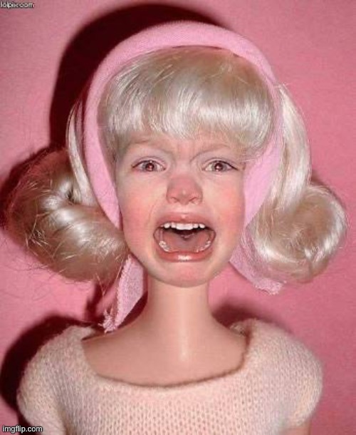 Cry barbie | image tagged in cry barbie | made w/ Imgflip meme maker