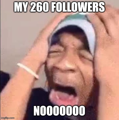 NOOOOOOOOOOOOOOOOOOOOOOOOOOOOOOOOOOOOOOOOOOOOOOOOOOOOOOOOOOOOOOO | MY 260 FOLLOWERS; NOOOOOOO | image tagged in nooooooooooooooooooooooooooooooooooooooooooooooooooooooooooooooo | made w/ Imgflip meme maker