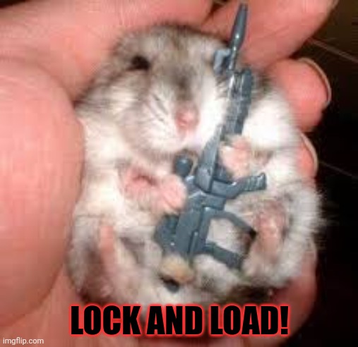 Locked and loaded | LOCK AND LOAD! | image tagged in locked and loaded | made w/ Imgflip meme maker