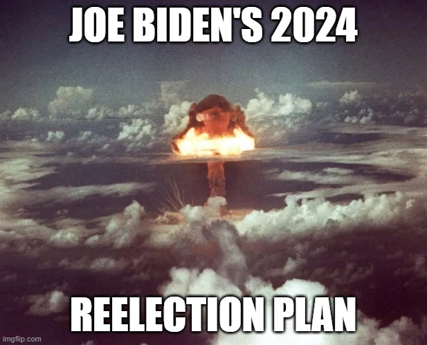 Reelection Plan | JOE BIDEN'S 2024; REELECTION PLAN | image tagged in joe biden,joe biden worries | made w/ Imgflip meme maker