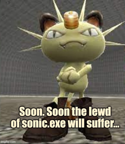 Remember to vote on meowth's bill | Soon. Soon the lewd of sonic.exe will suffer... | image tagged in meowth swag,meowth,fights,the lewd | made w/ Imgflip meme maker