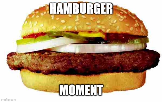 Hamburger | HAMBURGER MOMENT | image tagged in hamburger | made w/ Imgflip meme maker