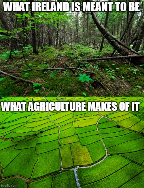  WHAT IRELAND IS MEANT TO BE; WHAT AGRICULTURE MAKES OF IT | image tagged in ireland | made w/ Imgflip meme maker