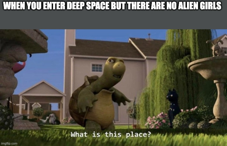 What is this place | WHEN YOU ENTER DEEP SPACE BUT THERE ARE NO ALIEN GIRLS | image tagged in what is this place | made w/ Imgflip meme maker