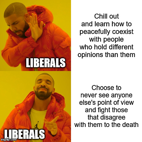 Don't be a jerk okay | Chill out and learn how to peacefully coexist with people who hold different opinions than them; LIBERALS; Choose to never see anyone else's point of view and fight those that disagree with them to the death; LIBERALS | image tagged in memes,drake hotline bling,conservatives,political meme | made w/ Imgflip meme maker