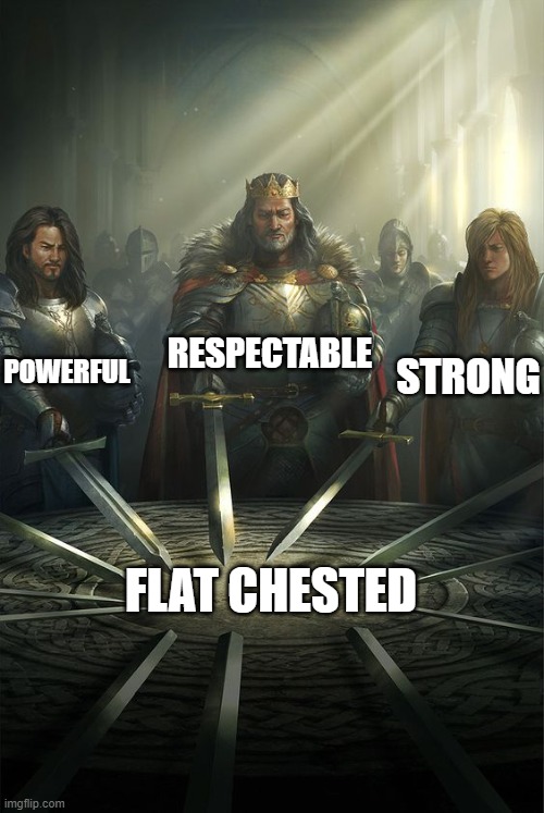 Knights of the Round Table | RESPECTABLE; POWERFUL; STRONG; FLAT CHESTED | image tagged in knights of the round table,so true memes,facts | made w/ Imgflip meme maker