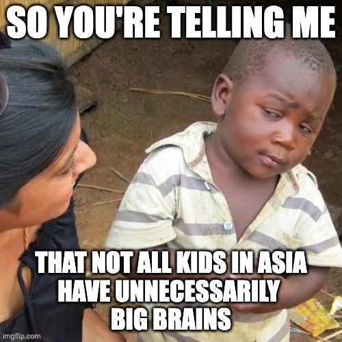 Third World Skeptical Kid | SO YOU'RE TELLING ME; THAT NOT ALL KIDS IN ASIA
HAVE UNNECESSARILY 
BIG BRAINS | image tagged in memes,third world skeptical kid | made w/ Imgflip meme maker