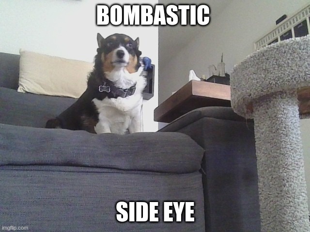 another | BOMBASTIC; SIDE EYE | image tagged in idk,gay | made w/ Imgflip meme maker