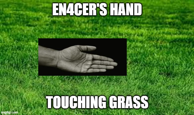 touching grass | EN4CER'S HAND; TOUCHING GRASS | image tagged in touching grass | made w/ Imgflip meme maker