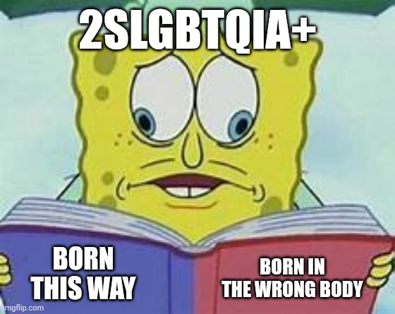 2SLGBTQIA+ cognitive dissonance 1 | 2SLGBTQIA+; BORN THIS WAY; BORN IN THE WRONG BODY | image tagged in spongebob crosseyed book meme | made w/ Imgflip meme maker