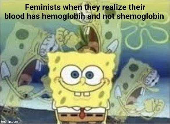 Uh oh... | Feminists when they realize their blood has hemoglobin and not shemoglobin | image tagged in spongebob is internally screaming,feminism,feminist,triggered feminist,triggered liberal | made w/ Imgflip meme maker
