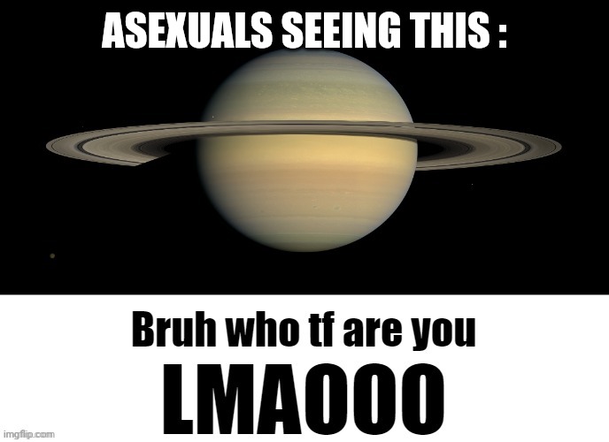 Bruh who tf are you LMAOOO | ASEXUALS SEEING THIS : | image tagged in bruh who tf are you lmaooo | made w/ Imgflip meme maker